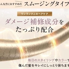 ビーリス ヘアセラム フルーティーバニラの香り b.ris 1本/90g　未使用品の画像