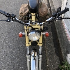 トモス　TOMOS    クラッシックⅠ    アウトドア仕様の画像
