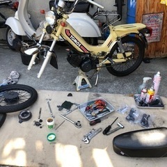 トモス　TOMOS    クラッシックⅠ    アウトドア仕様の画像