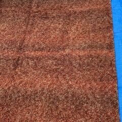 ☆住江織物 絨毯 カーペット 200×200◆お部屋の高級感を演出する敷物じゅうたんの画像