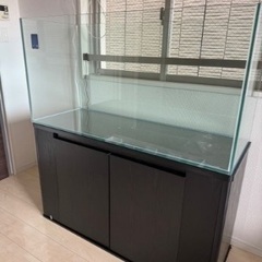 引き取り限定　美品水槽台