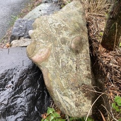 盆栽 盆栽石  の画像