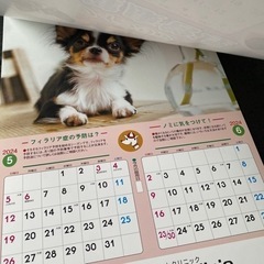 2024.5〜2025.4カレンダーの画像