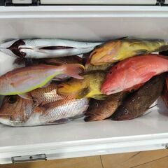 タイラバ・SLJやってみませんか？デビューお手伝いします。