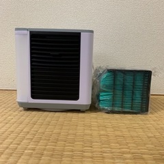 【値下げ⤵️最終価格】ここひえの画像
