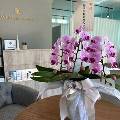 ネイリスト大募集★/未経験者歓迎/土日祝休み可/ノルマなし/売上...