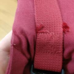 エルゴ抱っこひもの画像