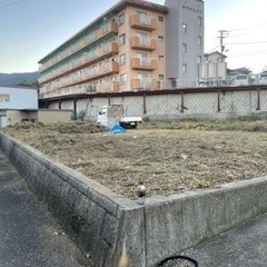 草刈り、伐採、年間管理全てお任せください‼️ − 徳島県