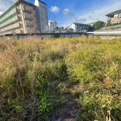 草刈り、伐採、年間管理全てお任せください‼️ - 吉野川市