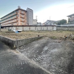草刈り、伐採、年間管理全てお任せください‼️ - 剪定/造園