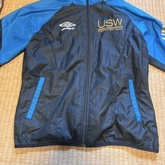 アンブロ ピステの画像