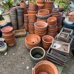 生活雑貨 家庭用品 ガーデニング　植木鉢　取り放題！！早い者勝ち！