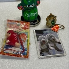 伊豆　お土産　玄関　飾り　セット