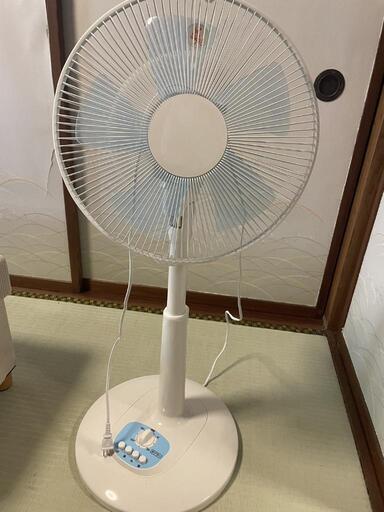 決まりました