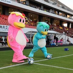 試合観戦付き就活セミナー　募集枠拡大のお知らせ − 福岡県