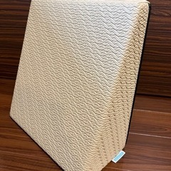 サンテプラス フレックスクッション