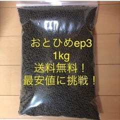 おとひめep3 1kg