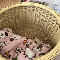 靴/バッグ バッグ ポーチ　⭐️20%引きの画像