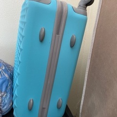 キャリーバッグの画像