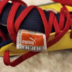 ジュニア　サッカー　トレシュー　23.5cmの画像