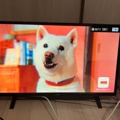 テレビ、冷蔵庫、電子レンジ、オーブントースター、ゴミ箱