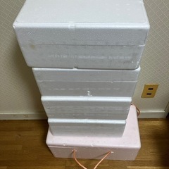【お渡し済】クーラーボックス5個