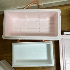 【お渡し済】クーラーボックス5個の画像