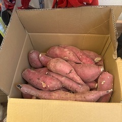 受け渡し決定　さつまいも