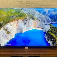 4K対応 55型 液晶テレビ IRIS OHYAMA  LUCA 音声操作 LT-55B628VC