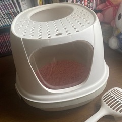 猫　トイレの画像