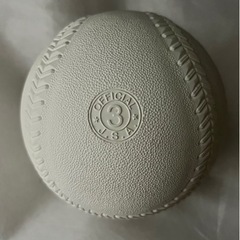 NAIGAIソフトボール３号の画像