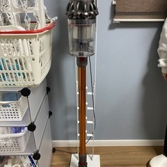 ダイソンV10 fluffy (スパイシーチキン) 高鷲の生活家電《掃除機