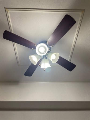 家具 照明器具