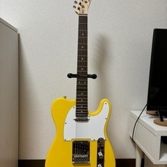 楽器 弦楽器、ギター