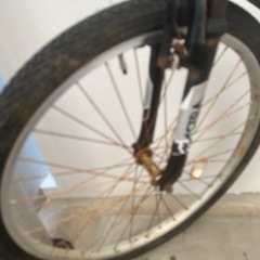 自転車 マウンテンバイクの画像