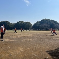 横浜でアルティメットしませんか？🥏