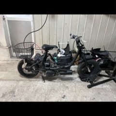 チョイノリ　灯火類レス　セル付き　後期モデルの画像