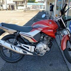 YBR125 の画像