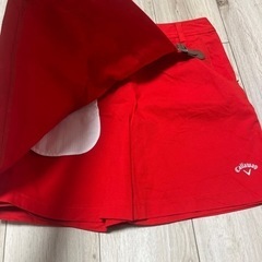 服/ファッション スカートの画像