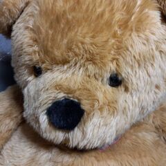 ぬいぐるみ　特大の画像