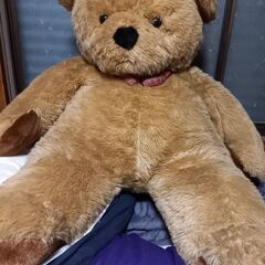 ぬいぐるみ　特大の画像