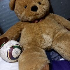 ぬいぐるみ　特大の画像