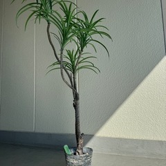 人工観葉植物 / フラワースタンドの画像