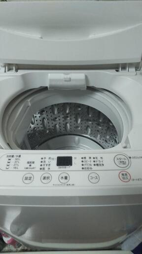 家電 生活家電 洗濯機