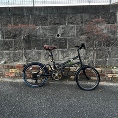 【受付終了】DOPPELGANGER ミニベロ ROADYACH...