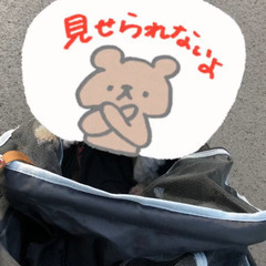 ペットカート、バッグ