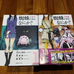 【値下】蜘蛛ですが、なにか？(1～13巻全巻セット)※美品の画像