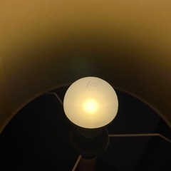 スタンドライトの画像