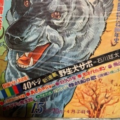 37 少年マガジンの画像