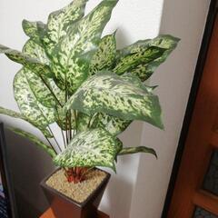 造花　フェイクグリーン　
観葉植物　ディフェンバキア　5号スクエ...